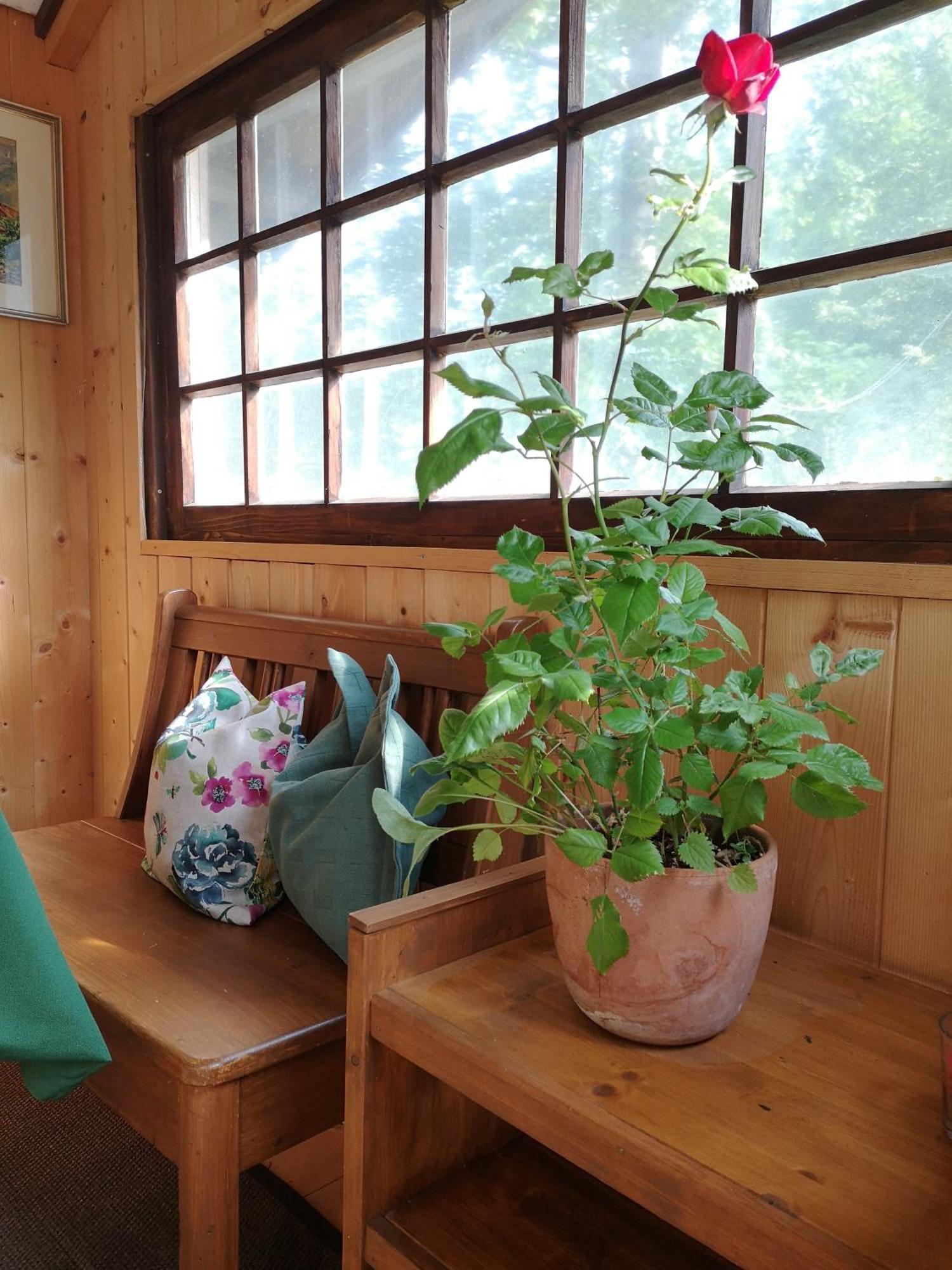 Ferienwohnung Schmidt - Natur Und Ruhe Schwaigen Номер фото